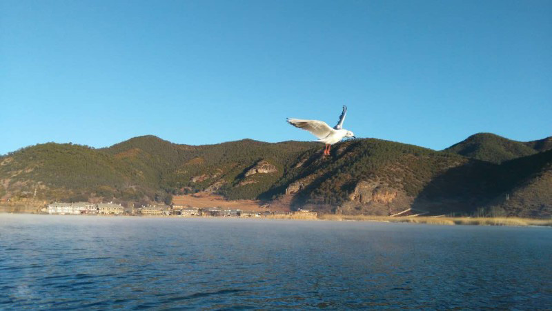 西昌瀘山邛海、知青博物館、摘草莓雙汽三日游